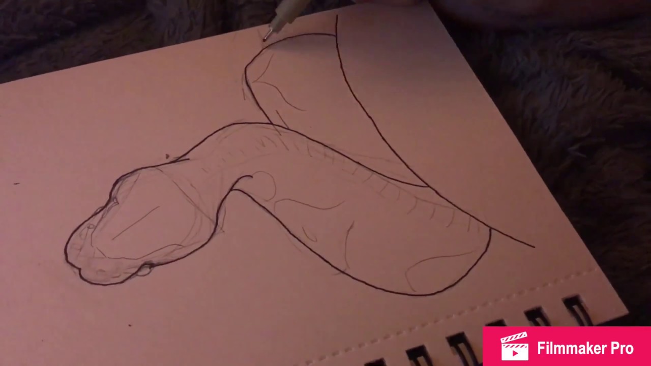 1280x720 Ball Python Doodle - Ball Python Sketch