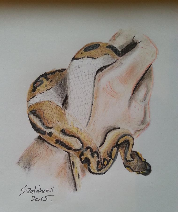 Ball Python Sketch at PaintingValley.com | Explore collection of Ball ...