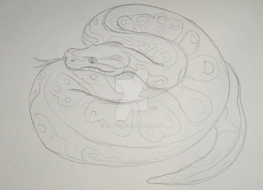 Ball Python Sketch at PaintingValley.com | Explore collection of Ball ...