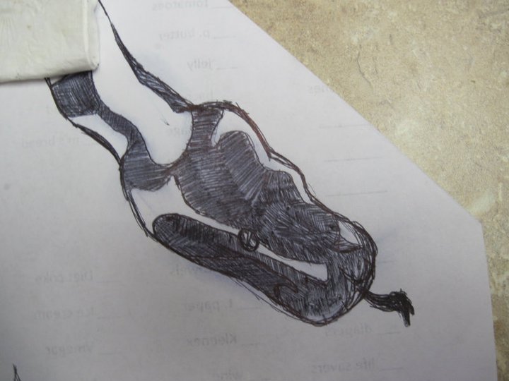 720x540 Ball Python Sketch By Satxwolf - Ball Python Sketch