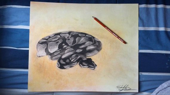 Ball Python Sketch At PaintingValley.com | Explore Collection Of Ball ...