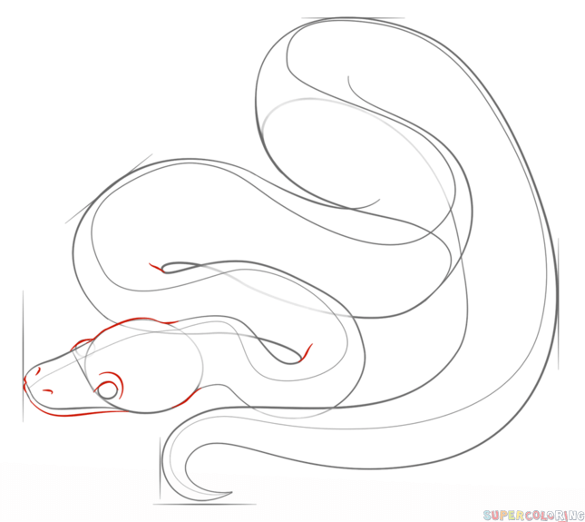 645x575 How To Draw A Ball Python Step By Step. Drawing Tutorials For Kids - Ball Python Sketch
