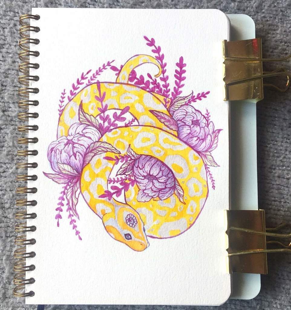 Ball Python Sketch at PaintingValley.com | Explore collection of Ball ...