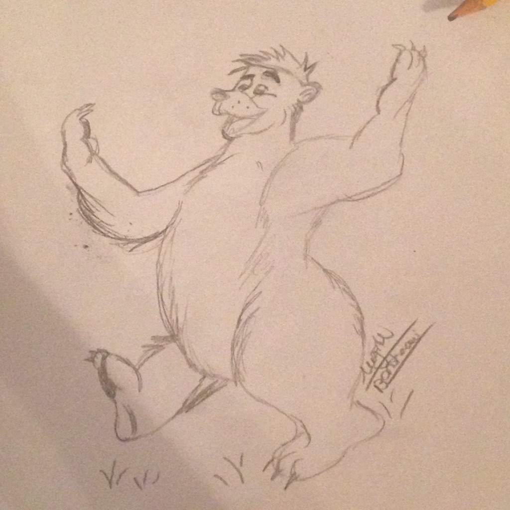 1024x1024 Disney Amino - Baloo Sketch
