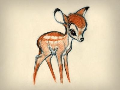 400x300 Bambi Sketch. Wonderful World Of Disney - Bambi Sketch