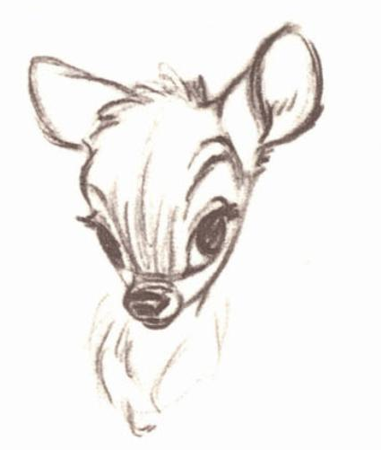 425x501 Bambi - Bambi Sketch