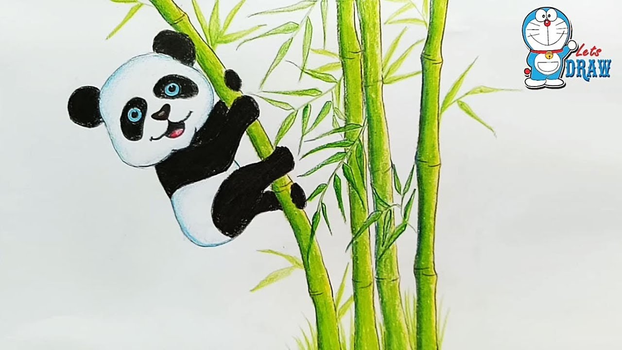 1280x720 How To Drawing Panda In Bamboo Forest Step By Step - Bamboo Pencil Sketch