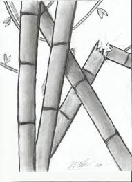 Bamboo Pencil Sketch at PaintingValley.com | Explore collection of ...