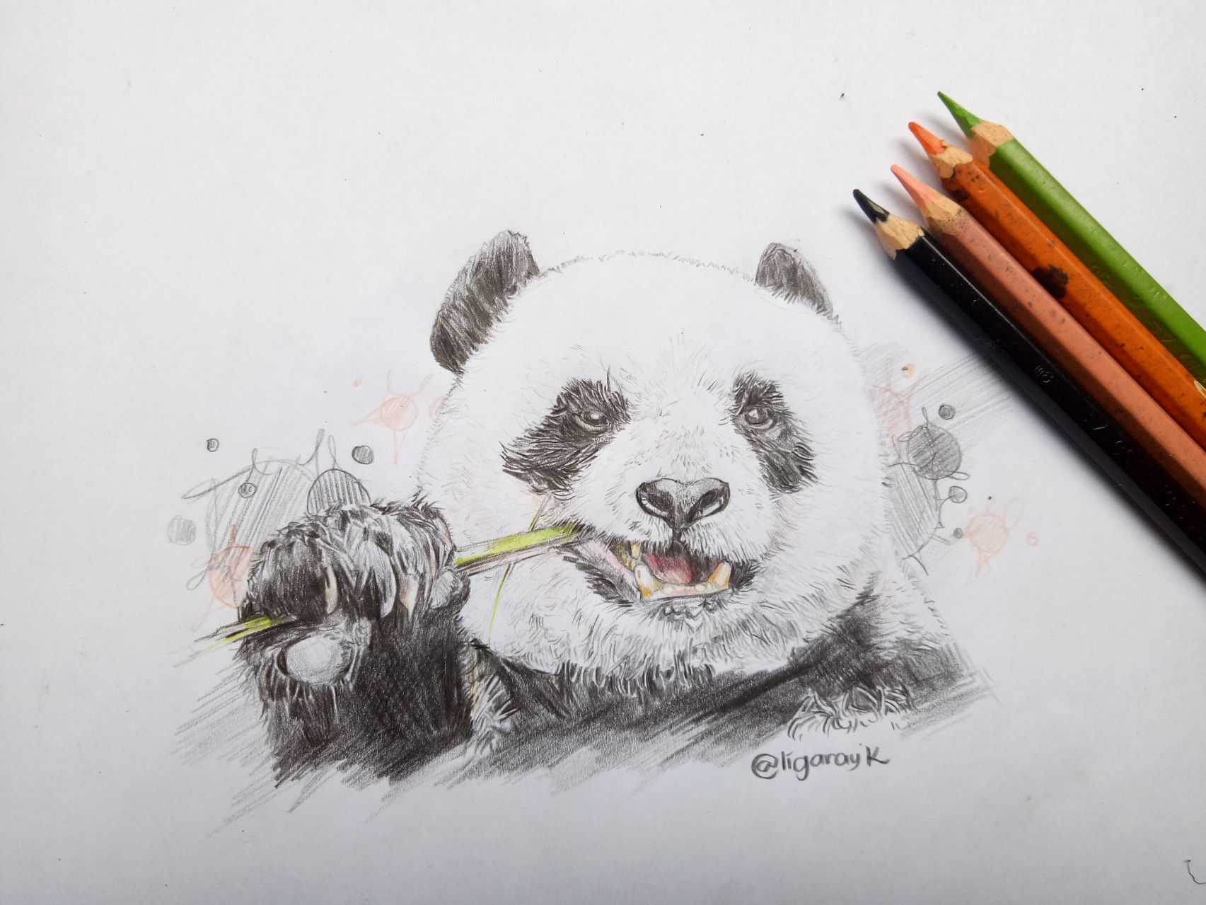 Bamboo Pencil Sketch at PaintingValley.com | Explore collection of ...