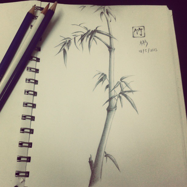 Bamboo Pencil Sketch at PaintingValley.com | Explore collection of ...