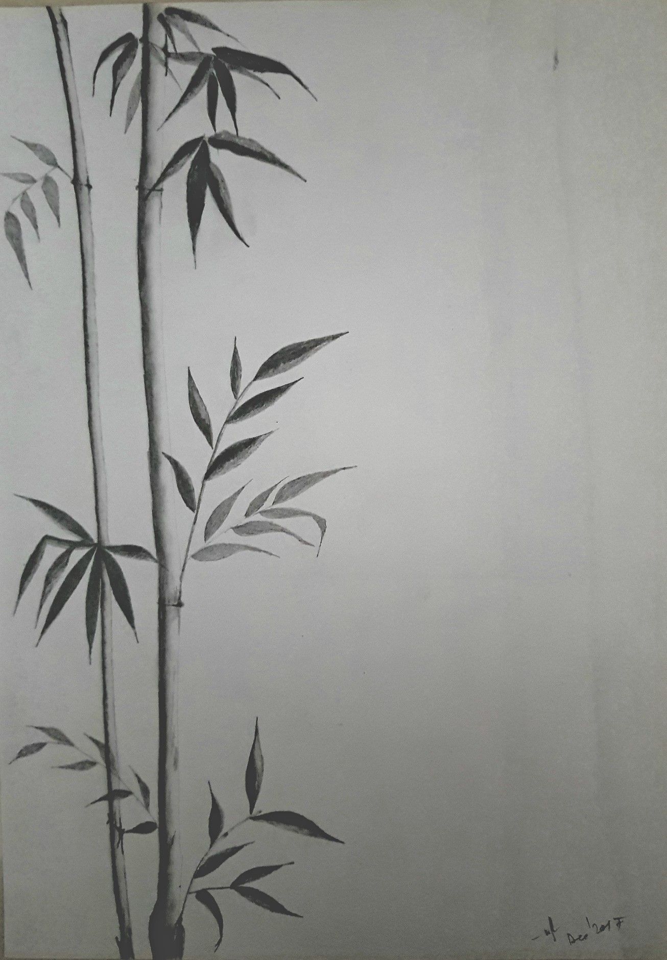 1306x1881 Bamboo Plant Pencil Sketch My Sketches, Pencil Sketches, Pencil - Bamboo Pencil Sketch
