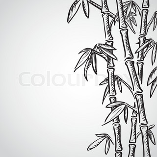 320x320 Bamboo Sketch Stock Vector Colourbox - Bamboo Sketch