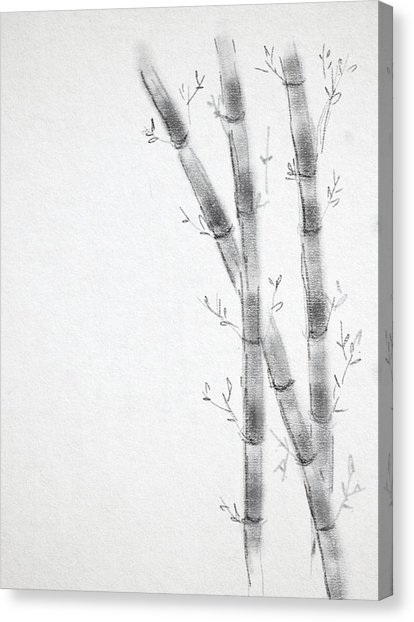 414x622 Bamboo Sketch Photograph By Veron Floresca - Bamboo Sketch
