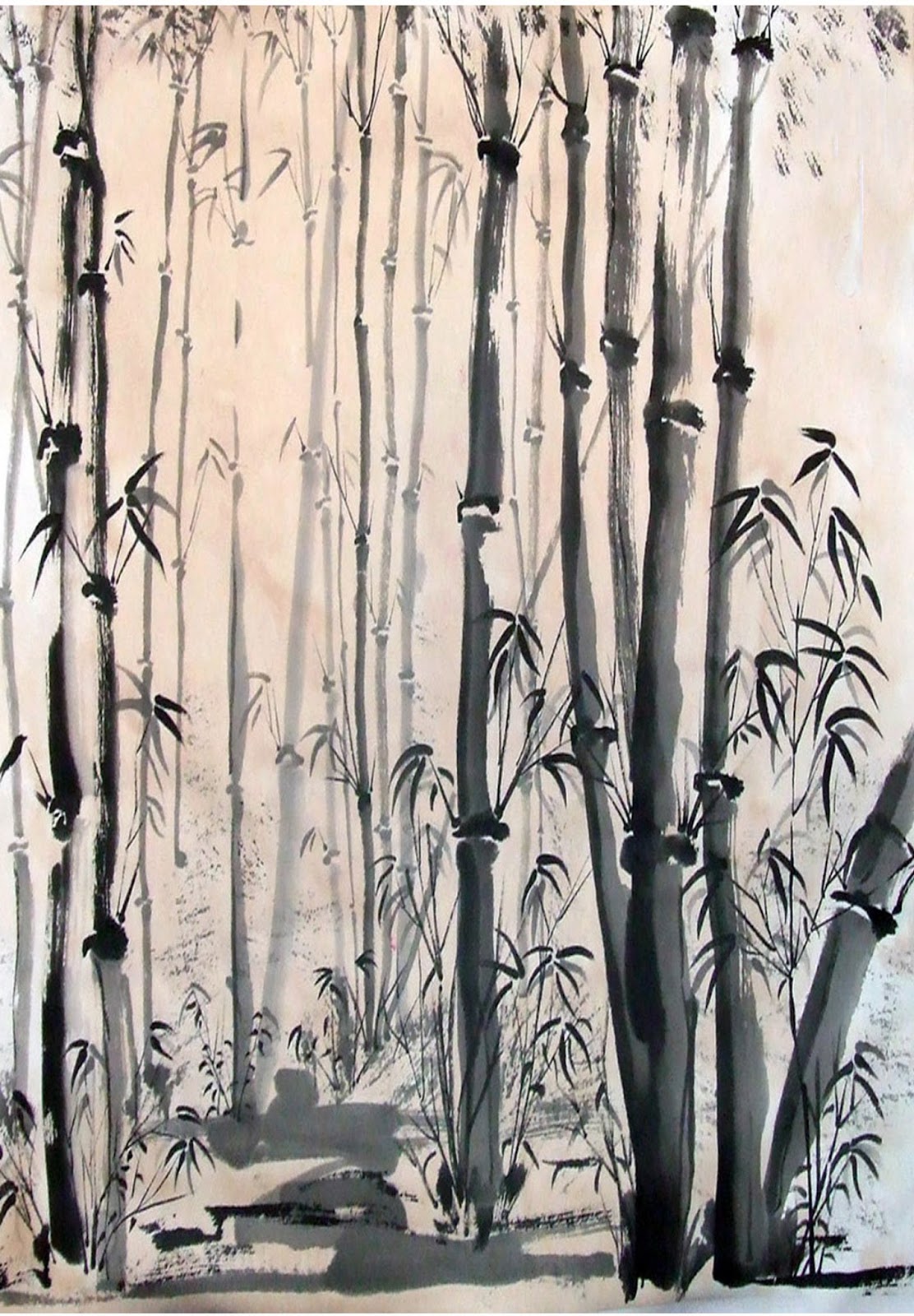 1112x1600 Color Sketch Of Tree Museum Of Art Amp Graphics - Bamboo Tree Sketch