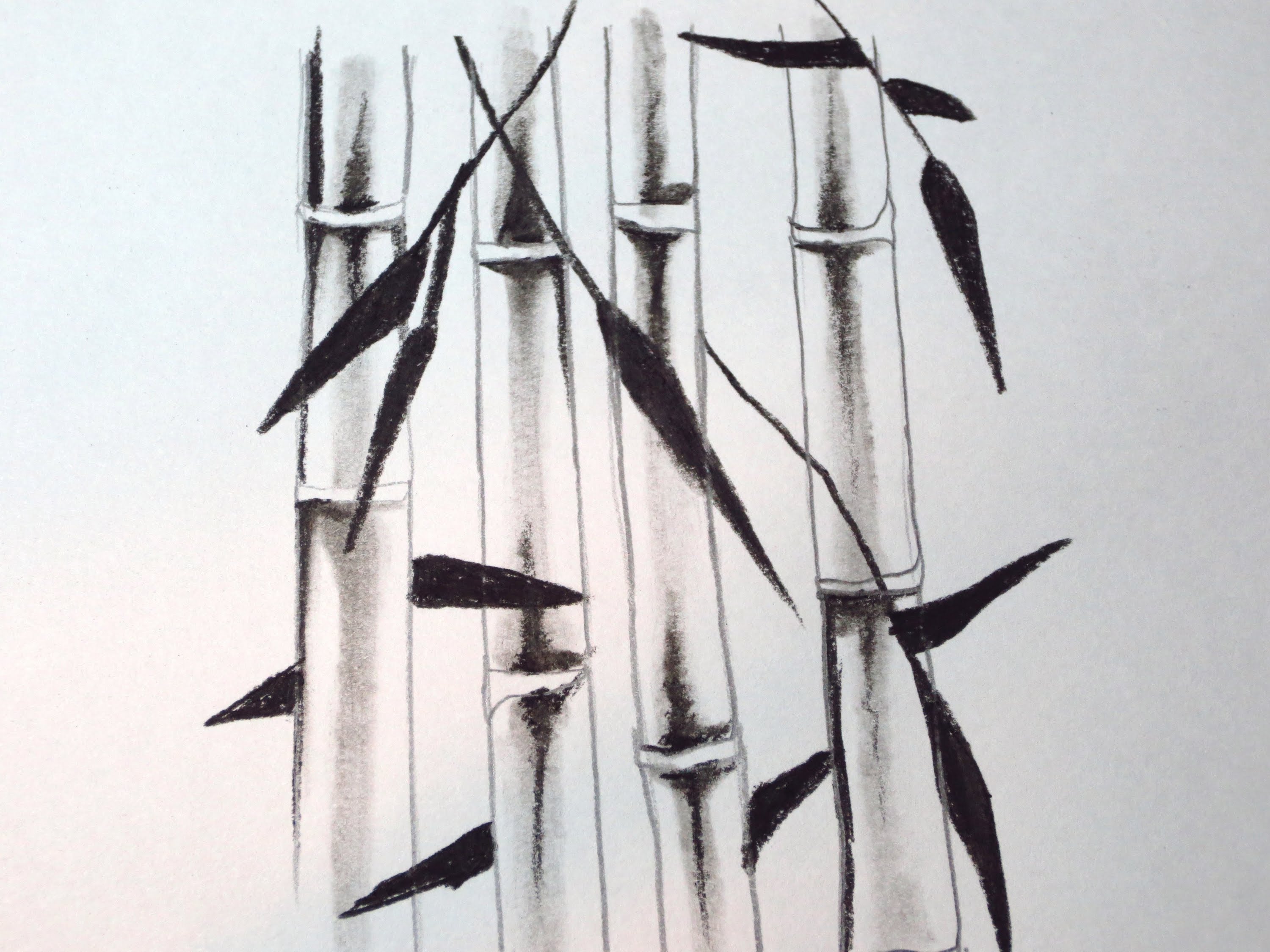 3000x2250 How To Draw Bamboo - Bamboo Tree Sketch