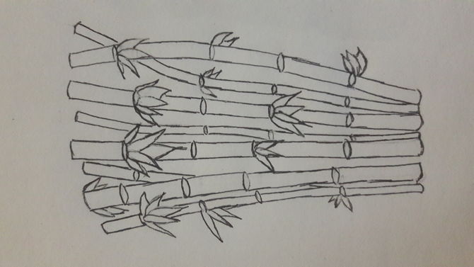 670x377 How To Draw Bamboo 8 Steps (With Pictures) - Bamboo Tree Sketch