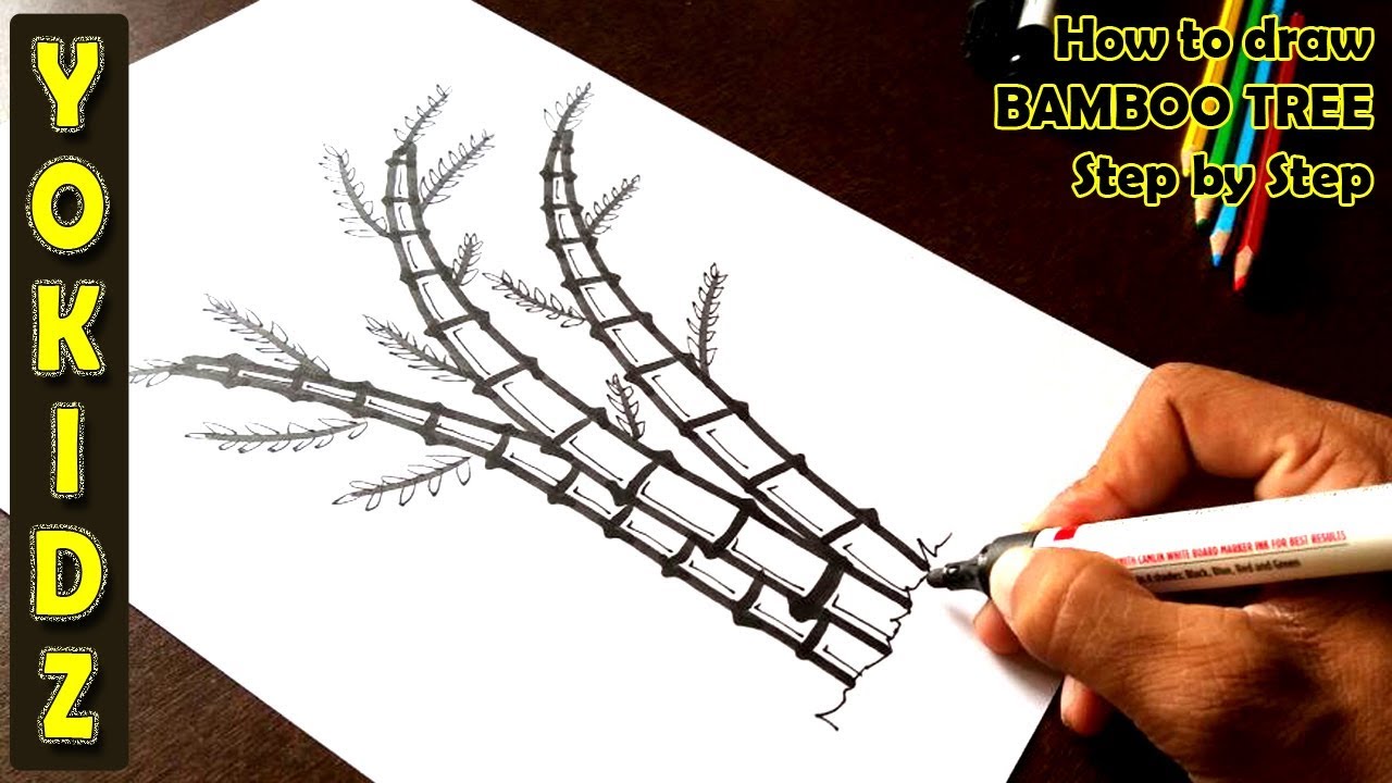 1280x720 How To Draw Bamboo Tree Step By Step - Bamboo Tree Sketch