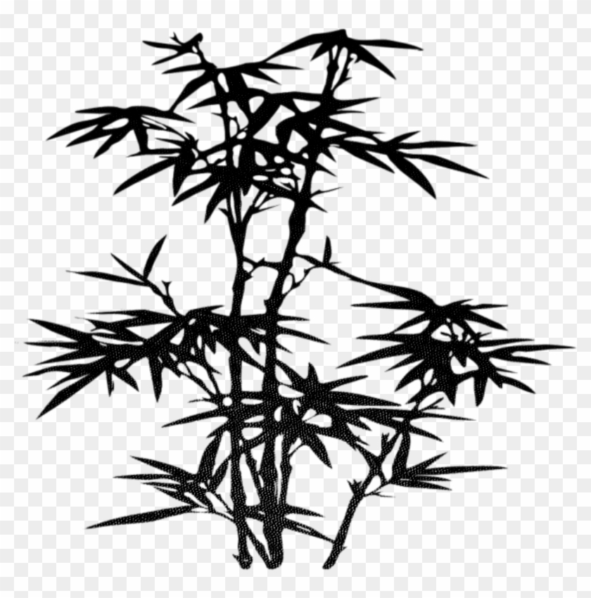 840x850 Japan Drawing Tree Bamboo Clip Art - Bamboo Tree Sketch