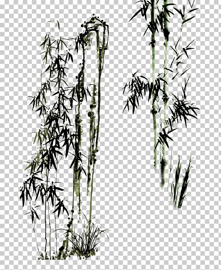 728x887 Paper Drawing Bamboo Chinese Painting Eight Eccentrics Of Yangzhou - Bamboo Tree Sketch