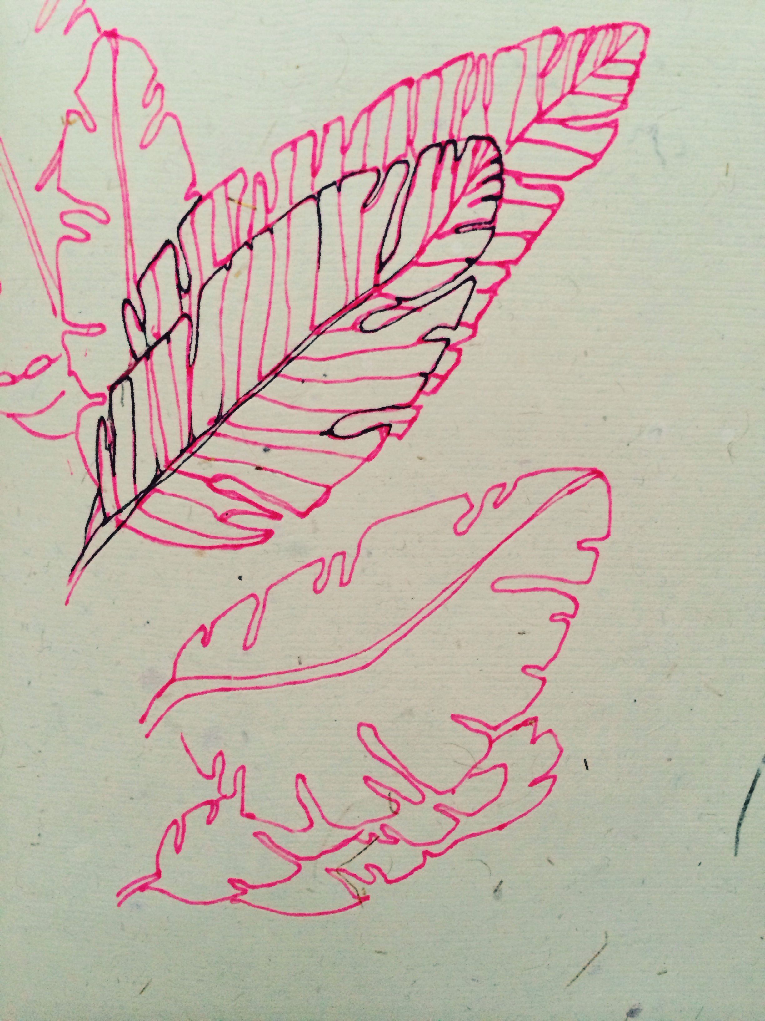 2448x3264 Banana Leaves - Banana Leaf Sketch