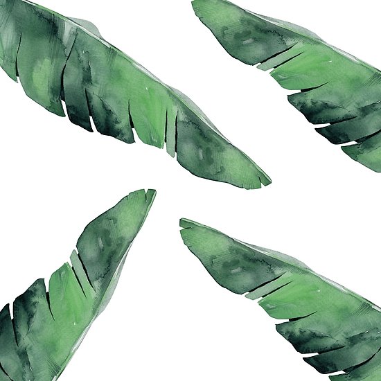 550x550 Classic Green Tropical Banana Leaf Pattern On White Iv Posters By - Banana Leaf Sketch
