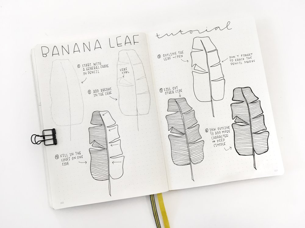 1000x750 How To Draw Banana Leaf - Banana Leaf Sketch