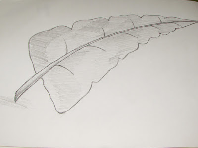 400x300 How To Draw Or Sketch Of Banana Leaf Using Pencil Richa Art Club - Banana Leaf Sketch
