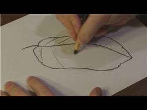 480x360 Nature Drawings How To Draw A Banana Leaf - Banana Leaf Sketch