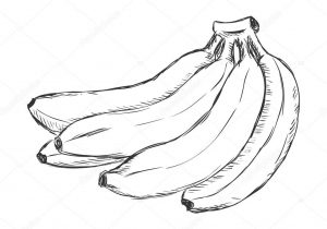 300x210 Banana Sketch Images - Banana Sketch