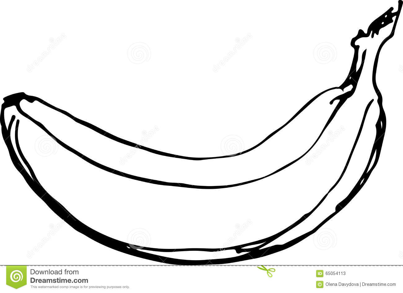 1300x945 Banana Sketch Images Banana. Vector Illustration Stock Vector - Banana Sketch