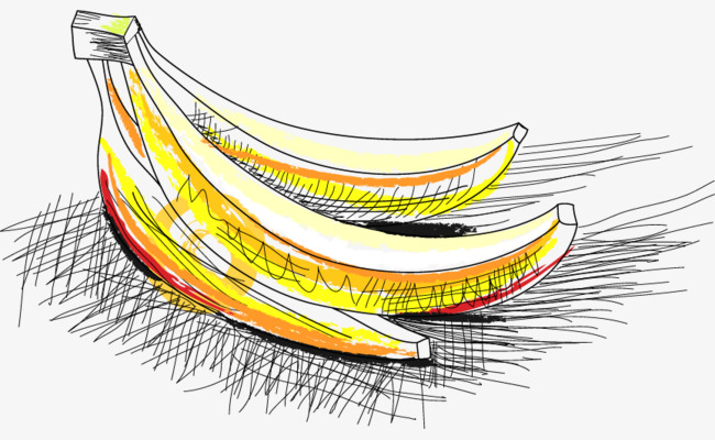 650x400 Banana Sketch Vector Material Png, Banana Vector, Sketch Vector - Banana Sketch