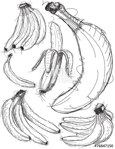 387x500 Banana Sketches Stock Image And Royalty Free Vector Files On - Banana Sketch