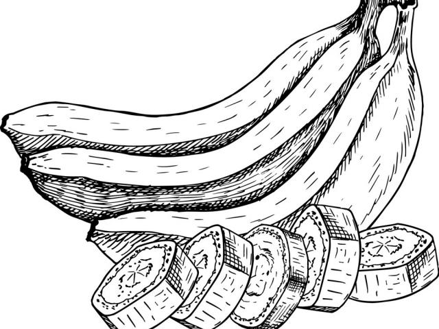 640x480 Drawn Banana Sketch 5 - Banana Sketch