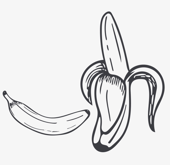 650x630 Sketch Banana, Sketch Vector, Banana Vector, Sketch Png And Vector - Banana Sketch