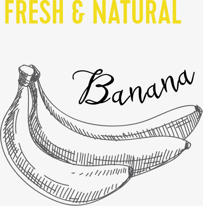 650x659 Sketch Of Banana Png Vector Material, Sketch Vector, Banana Vector - Banana Sketch