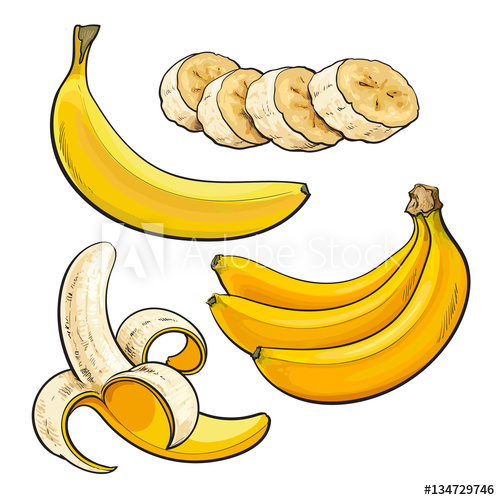 500x500 Sliced, Peeled, Singl And Bunch Of Three Ripe Banana, Sketch Style - Banana Sketch