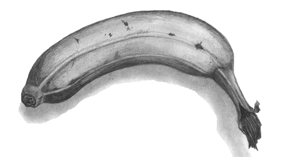 600x314 Banana Scrap Sketch By Fallenintoshadows - Banana Sketch