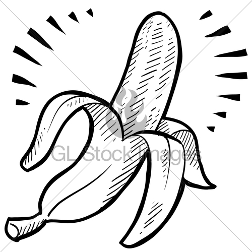 500x500 Banana Sketch Gl Stock Images - Banana Sketch Images