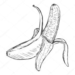 260x260 Download Banana Clipart Banana Sketch - Banana Sketch Images