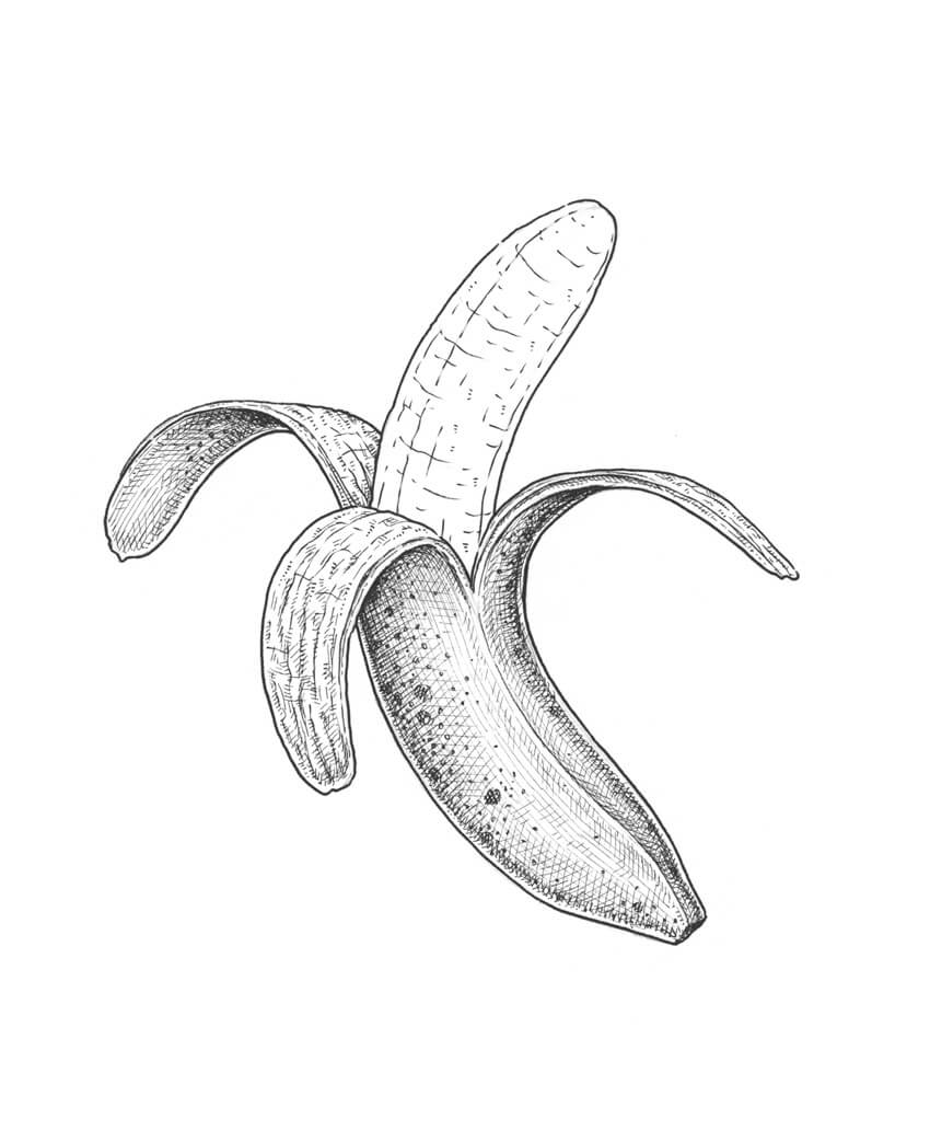 850x1033 How To Draw A Banana - Banana Sketch Images