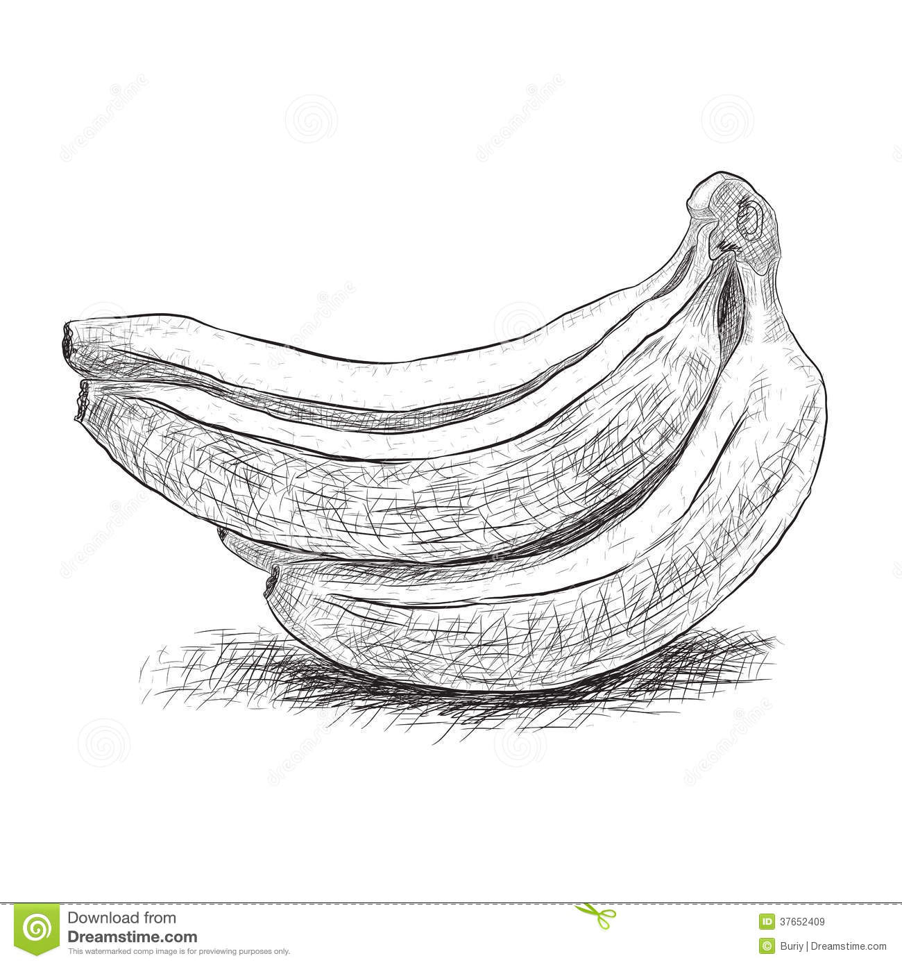 Banana Sketch Images at PaintingValley.com | Explore collection of