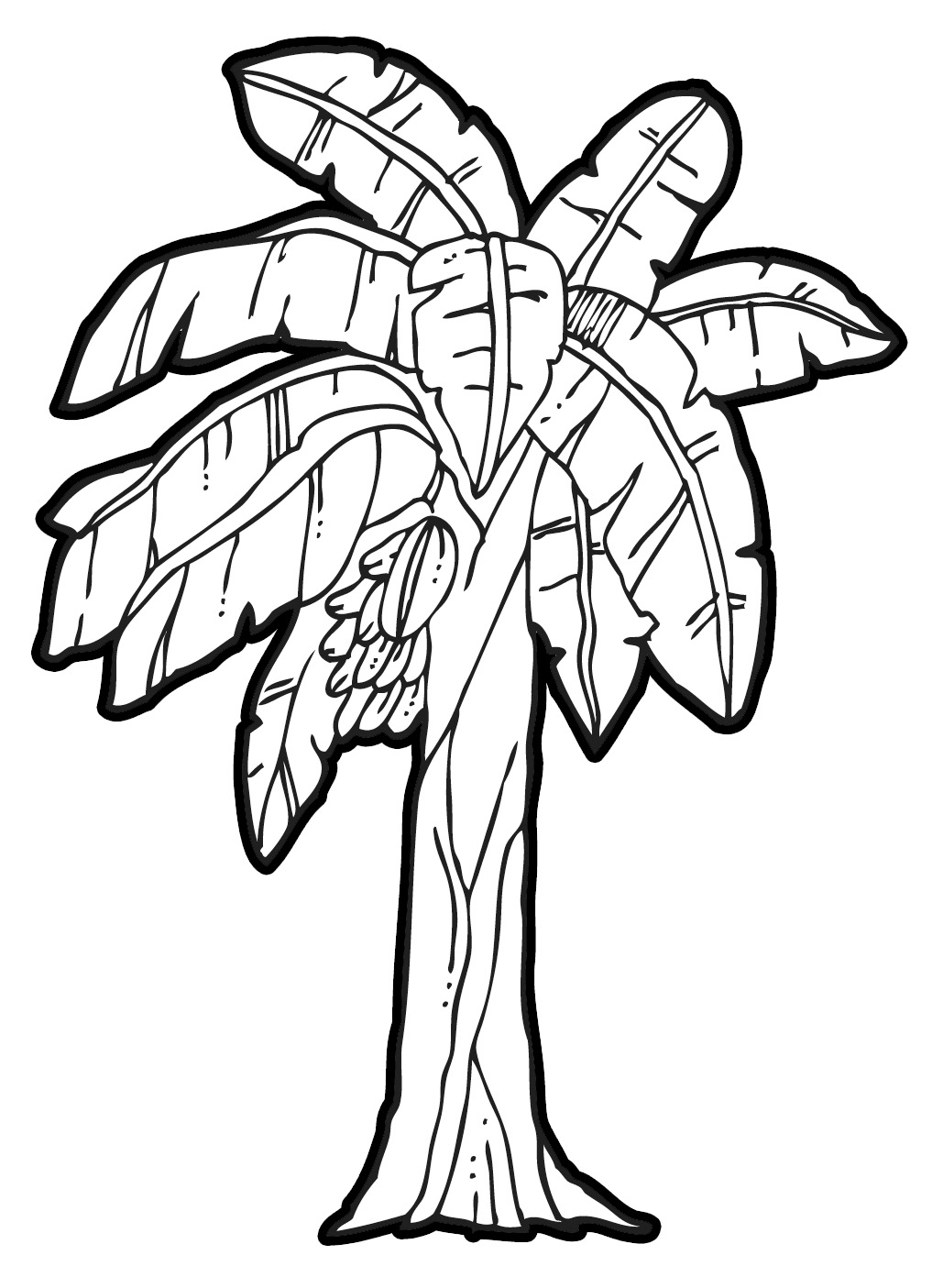 1029x1405 Drawing Sketch Of Banana Tree Pencil Drawing Of A Banana Plant - Banana Tree Sketch