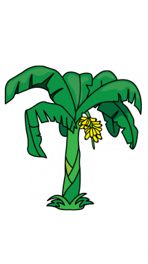 215x382 How To Draw A Banana Tree, Easy Step By Step Drawing Tutorial - Banana Tree Sketch