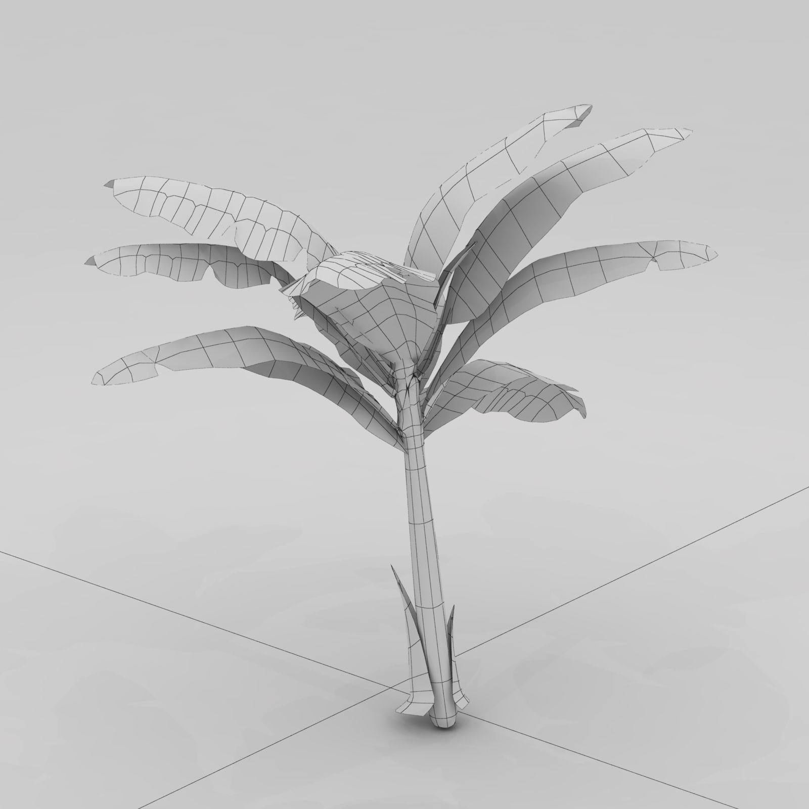 1600x1600 Banana Tree 3d Model Plant Cgtrader - Banana Tree Sketch