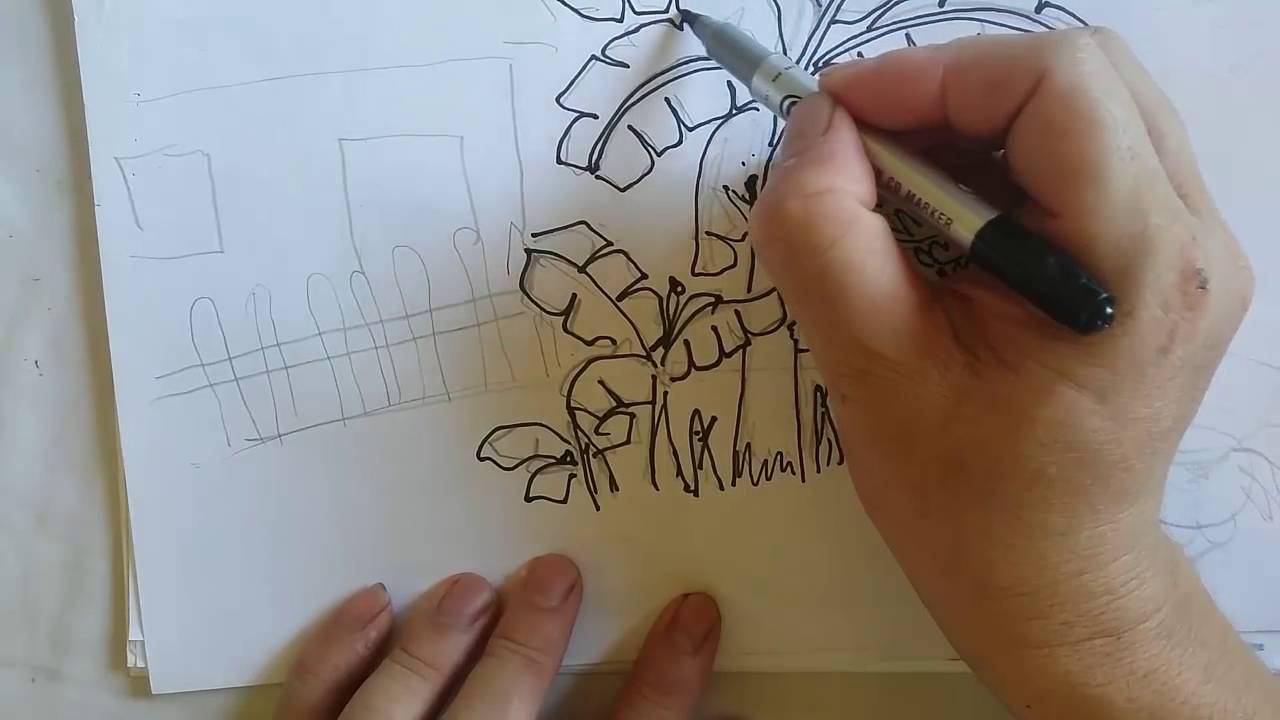 1280x720 Banana Tree Drawing Tutorial For Children - Banana Tree Sketch
