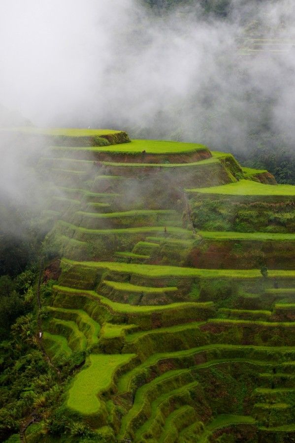 Banaue Rice Terraces Sketch at PaintingValley.com | Explore collection