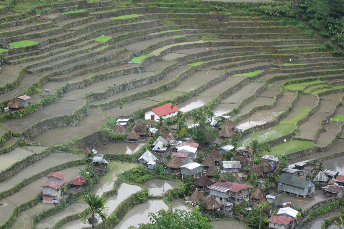 Banaue Rice Terraces Sketch at PaintingValley.com | Explore collection