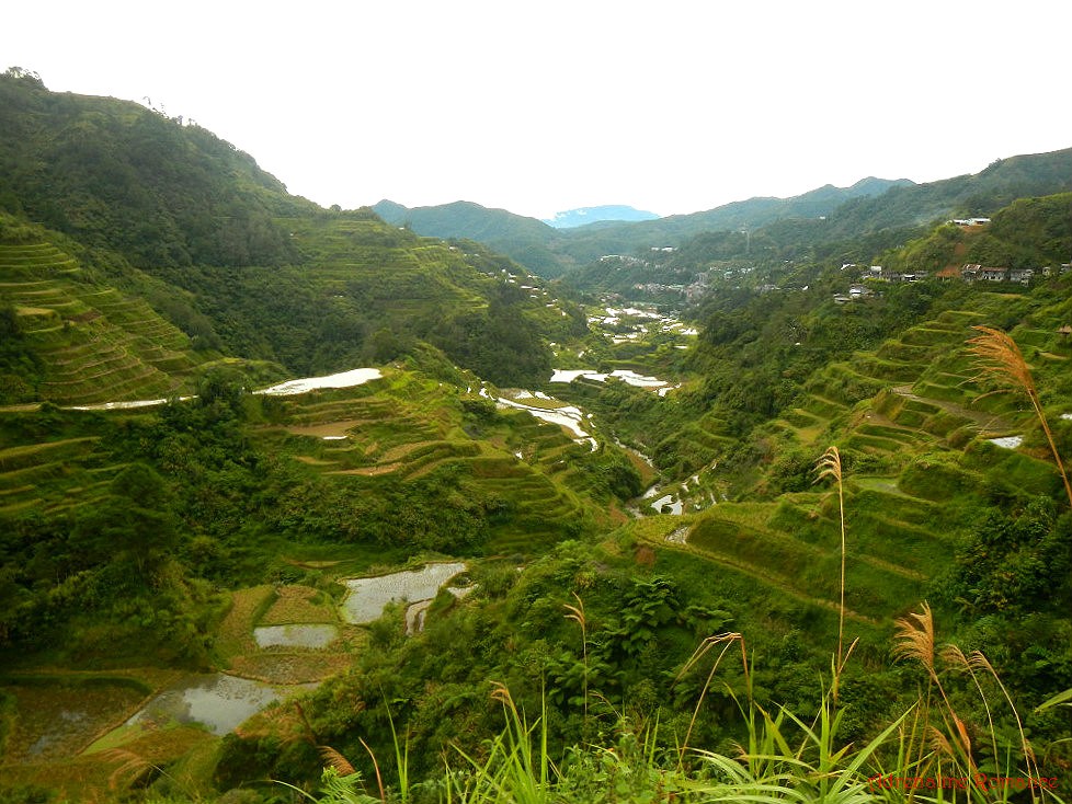 Banaue Rice Terraces Sketch at PaintingValley.com | Explore collection