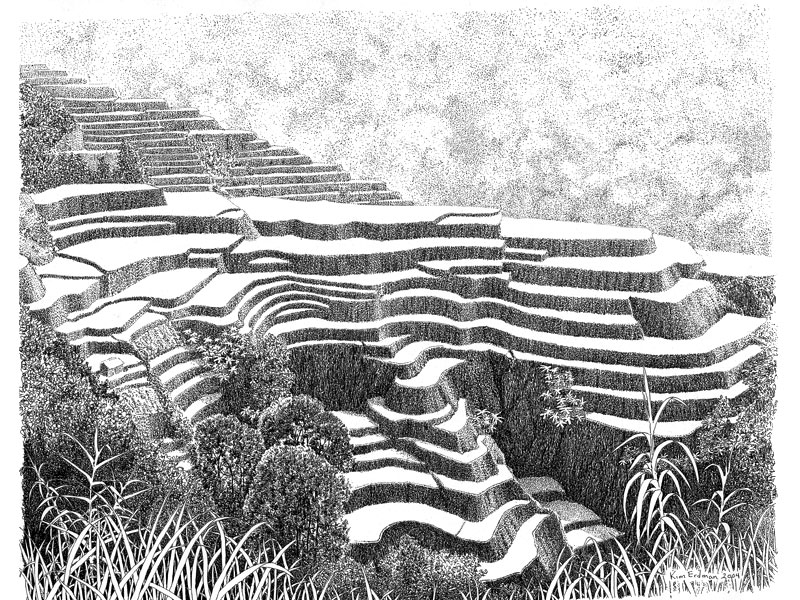 Banaue Rice Terraces Drawing