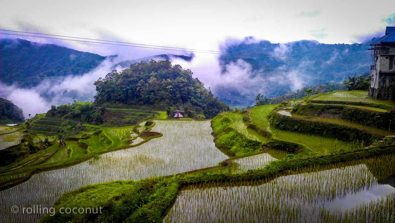 Banaue Rice Terraces Sketch at PaintingValley.com | Explore collection